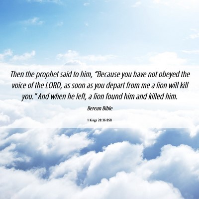 Picture 06 - 1 Kings 20:36 BSB - Then the prophet said to him, “Because you have - Bible Verse Picture