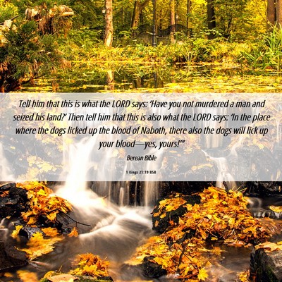 Picture 06 - 1 Kings 21:19 BSB - Tell him that this is what the LORD says: ‘Have - Bible Verse Picture