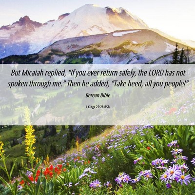 Picture 06 - 1 Kings 22:28 BSB - But Micaiah replied, “If you ever return - Bible Verse Picture