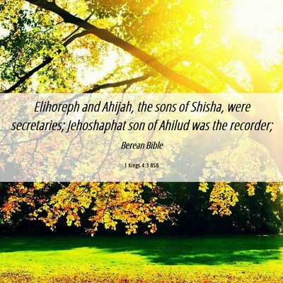 Picture 06 - 1 Kings 4:3 BSB - Elihoreph and Ahijah, the sons of Shisha, were - Bible Verse Picture