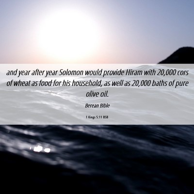 Picture 06 - 1 Kings 5:11 BSB - and year after year Solomon would provide Hiram - Bible Verse Picture