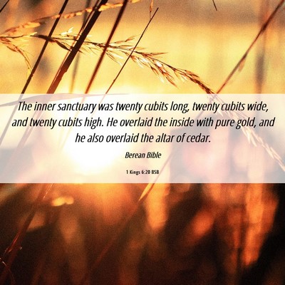 Picture 06 - 1 Kings 6:20 BSB - The inner sanctuary was twenty cubits long, - Bible Verse Picture