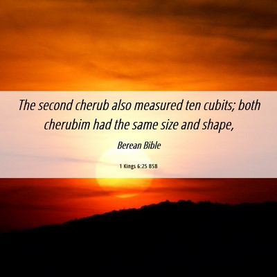 Picture 06 - 1 Kings 6:25 BSB - The second cherub also measured ten cubits; both - Bible Verse Picture