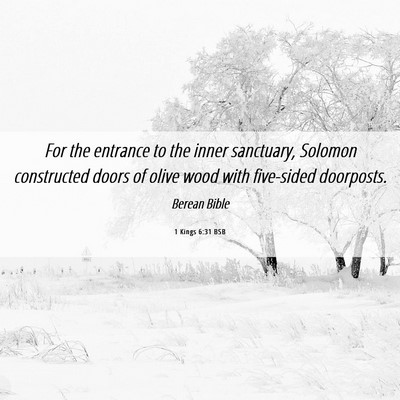 Picture 06 - 1 Kings 6:31 BSB - For the entrance to the inner sanctuary, Solomon - Bible Verse Picture