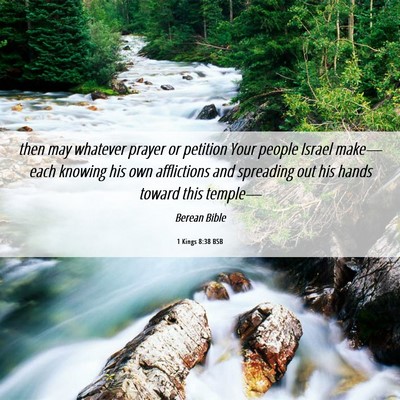 Picture 06 - 1 Kings 8:38 BSB - then may whatever prayer or petition Your people - Bible Verse Picture