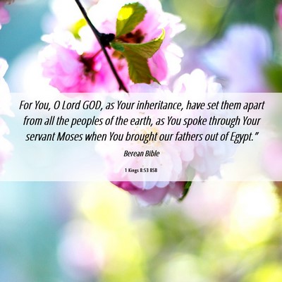Picture 06 - 1 Kings 8:53 BSB - For You, O Lord GOD, as Your inheritance, have - Bible Verse Picture