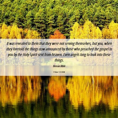 Picture 06 - 1 Peter 1:12 BSB - It was revealed to them that they were not - Bible Verse Picture