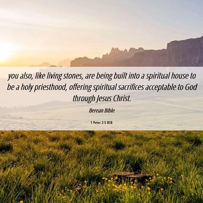 Picture 06 - 1 Peter 2:5 BSB - you also, like living stones, are being built - Bible Verse Picture