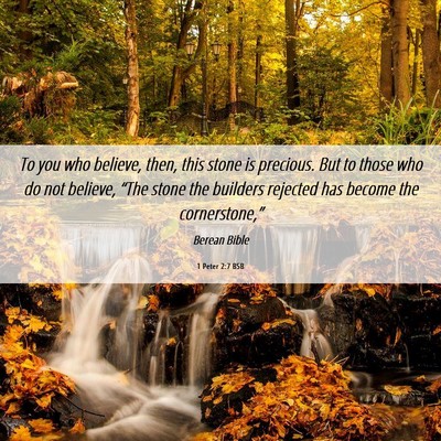 Picture 06 - 1 Peter 2:7 BSB - To you who believe, then, this stone is precious. - Bible Verse Picture