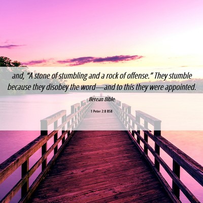 Picture 06 - 1 Peter 2:8 BSB - and, “A stone of stumbling and a rock of - Bible Verse Picture