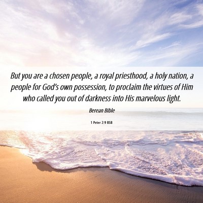 Picture 06 - 1 Peter 2:9 BSB - But you are a chosen people, a royal priesthood, - Bible Verse Picture