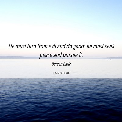 Picture 06 - 1 Peter 3:11 BSB - He must turn from evil and do good; he must seek - Bible Verse Picture