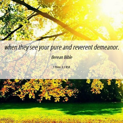 Picture 06 - 1 Peter 3:2 BSB - when they see your pure and reverent - Bible Verse Picture