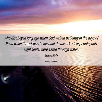 Picture 06 - 1 Peter 3:20 BSB - who disobeyed long ago when God waited patiently - Bible Verse Picture