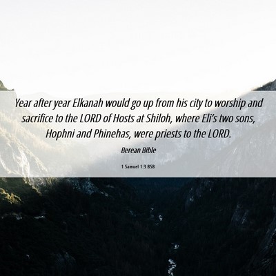 Picture 06 - 1 Samuel 1:3 BSB - Year after year Elkanah would go up from his city - Bible Verse Picture