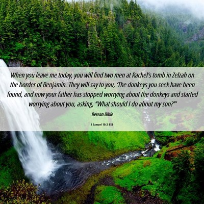 Picture 06 - 1 Samuel 10:2 BSB - When you leave me today, you will find two men at - Bible Verse Picture