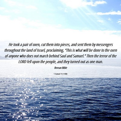 Picture 06 - 1 Samuel 11:7 BSB - He took a pair of oxen, cut them into pieces, and - Bible Verse Picture