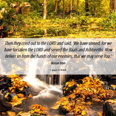 Picture 06 - 1 Samuel 12:10 BSB - Then they cried out to the LORD and said, ‘We - Bible Verse Picture