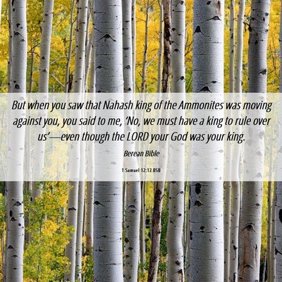 Picture 06 - 1 Samuel 12:12 BSB - But when you saw that Nahash king of the - Bible Verse Picture