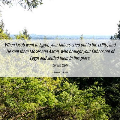 Picture 06 - 1 Samuel 12:8 BSB - When Jacob went to Egypt, your fathers cried out - Bible Verse Picture