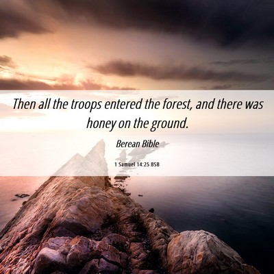 Picture 06 - 1 Samuel 14:25 BSB - Then all the troops entered the forest, and there - Bible Verse Picture