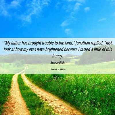 Picture 06 - 1 Samuel 14:29 BSB - “My father has brought trouble to the land,” - Bible Verse Picture