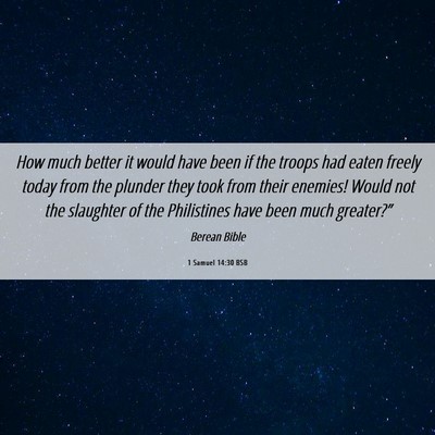 Picture 06 - 1 Samuel 14:30 BSB - How much better it would have been if the troops - Bible Verse Picture