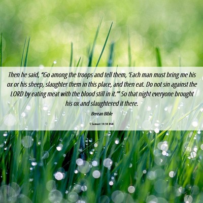 Picture 06 - 1 Samuel 14:34 BSB - Then he said, “Go among the troops and tell - Bible Verse Picture