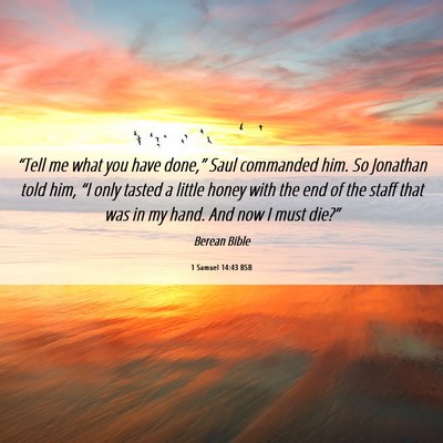 Picture 06 - 1 Samuel 14:43 BSB - “Tell me what you have done,” Saul commanded - Bible Verse Picture