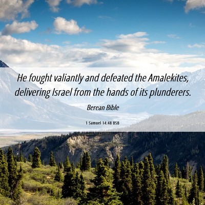 Picture 06 - 1 Samuel 14:48 BSB - He fought valiantly and defeated the Amalekites, - Bible Verse Picture