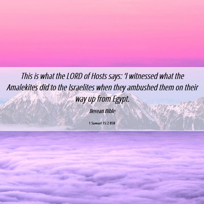 Picture 06 - 1 Samuel 15:2 BSB - This is what the LORD of Hosts says: ‘I - Bible Verse Picture