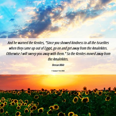 Picture 06 - 1 Samuel 15:6 BSB - And he warned the Kenites, “Since you showed - Bible Verse Picture