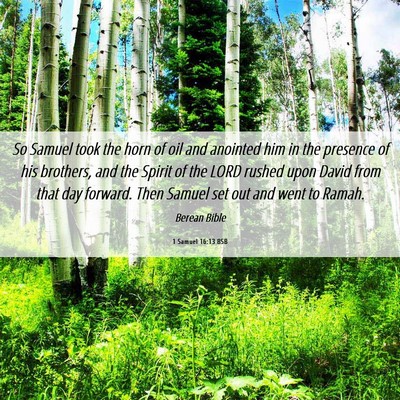 Picture 06 - 1 Samuel 16:13 BSB - So Samuel took the horn of oil and anointed him - Bible Verse Picture