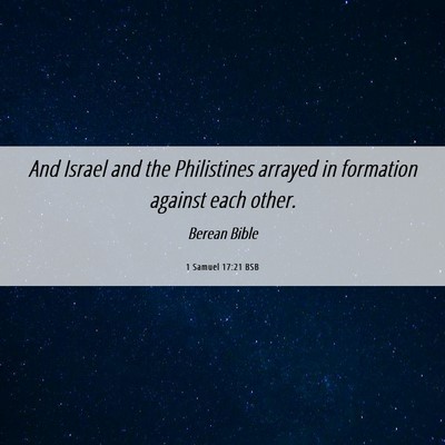 Picture 06 - 1 Samuel 17:21 BSB - And Israel and the Philistines arrayed in - Bible Verse Picture