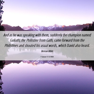 Picture 06 - 1 Samuel 17:23 BSB - And as he was speaking with them, suddenly the - Bible Verse Picture