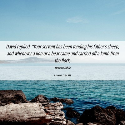 Picture 06 - 1 Samuel 17:34 BSB - David replied, “Your servant has been tending - Bible Verse Picture