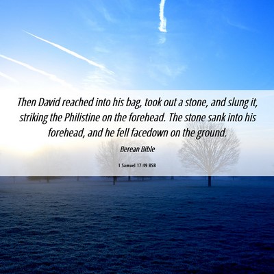 Picture 06 - 1 Samuel 17:49 BSB - Then David reached into his bag, took out a - Bible Verse Picture