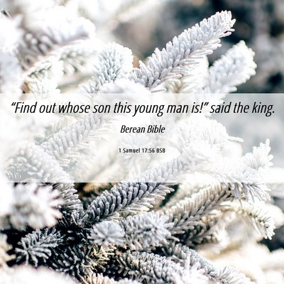 Picture 06 - 1 Samuel 17:56 BSB - “Find out whose son this young man is!” said - Bible Verse Picture