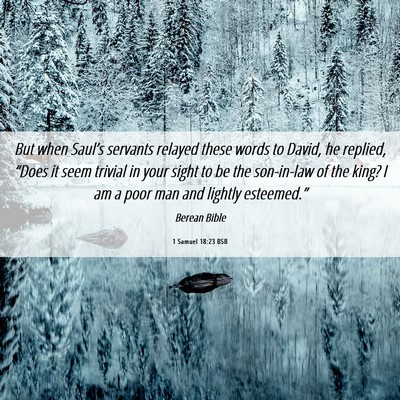 Picture 06 - 1 Samuel 18:23 BSB - But when Saul’s servants relayed these words to - Bible Verse Picture
