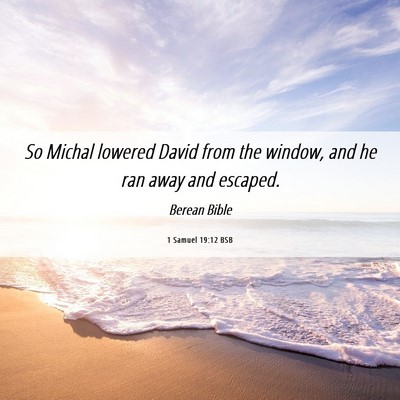 Picture 06 - 1 Samuel 19:12 BSB - So Michal lowered David from the window, and he - Bible Verse Picture