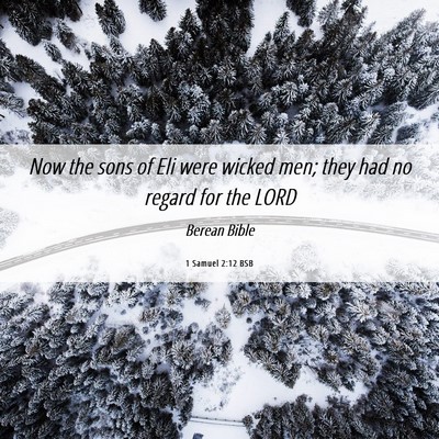 Picture 06 - 1 Samuel 2:12 BSB - Now the sons of Eli were wicked men; they had no - Bible Verse Picture