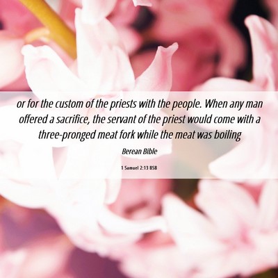 Picture 06 - 1 Samuel 2:13 BSB - or for the custom of the priests with the people. - Bible Verse Picture