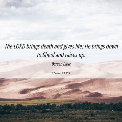 Picture 06 - 1 Samuel 2:6 BSB - The LORD brings death and gives life; He brings - Bible Verse Picture