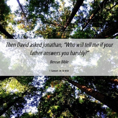 Picture 06 - 1 Samuel 20:10 BSB - Then David asked Jonathan, “Who will tell me if - Bible Verse Picture