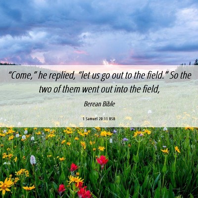 Picture 06 - 1 Samuel 20:11 BSB - “Come,” he replied, “let us go out to the - Bible Verse Picture