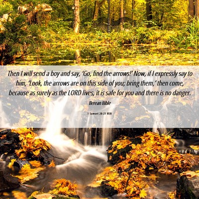 Picture 06 - 1 Samuel 20:21 BSB - Then I will send a boy and say, ‘Go, find the - Bible Verse Picture