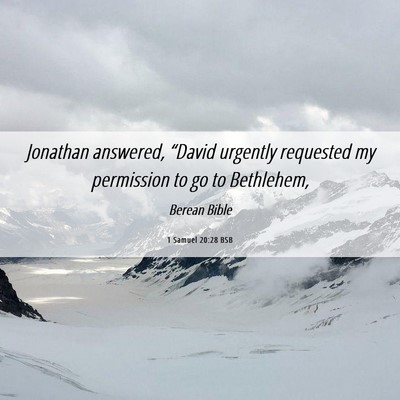 Picture 06 - 1 Samuel 20:28 BSB - Jonathan answered, “David urgently requested my - Bible Verse Picture