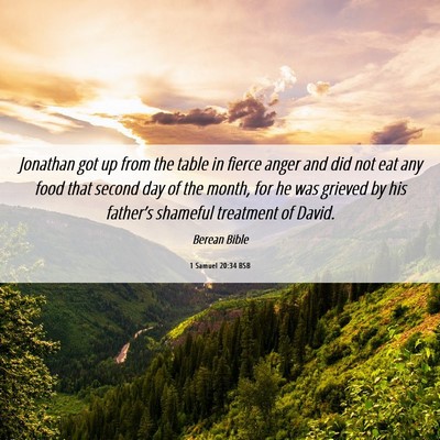 Picture 06 - 1 Samuel 20:34 BSB - Jonathan got up from the table in fierce anger - Bible Verse Picture