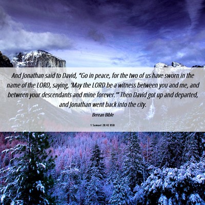 Picture 06 - 1 Samuel 20:42 BSB - And Jonathan said to David, “Go in peace, for - Bible Verse Picture