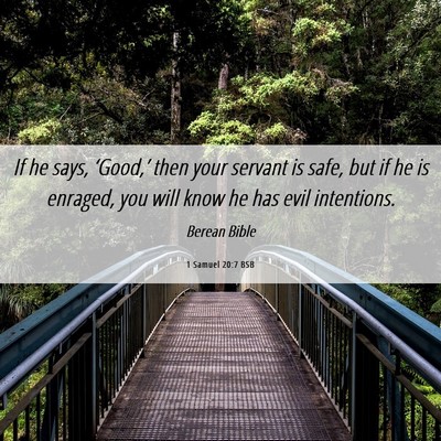 Picture 06 - 1 Samuel 20:7 BSB - If he says, ‘Good,’ then your servant is - Bible Verse Picture